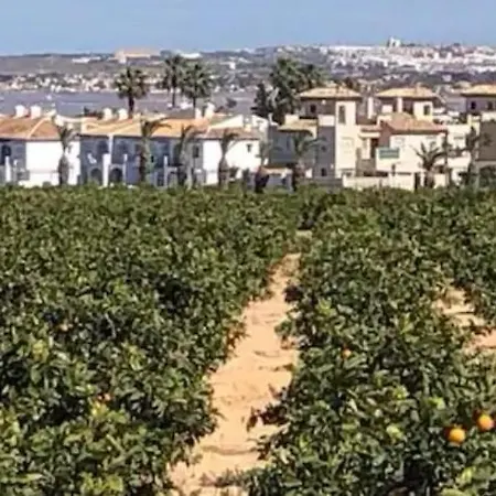 Daire Spanish Style With Terrace *