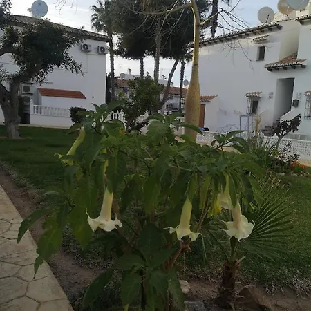 Spanish Style With Terrace Torrevieja