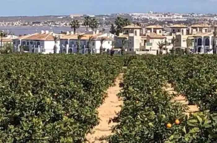 Apartment Spanish Style With Terrace *